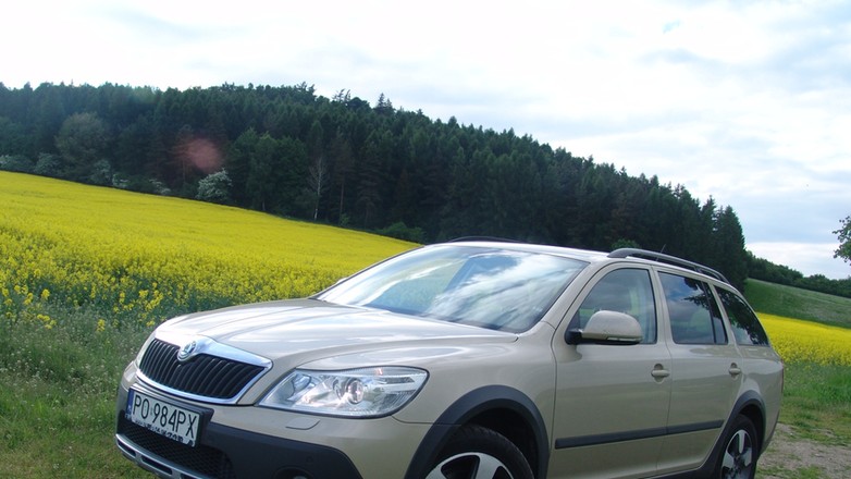 Czy ta Octavia jest dla skauta?