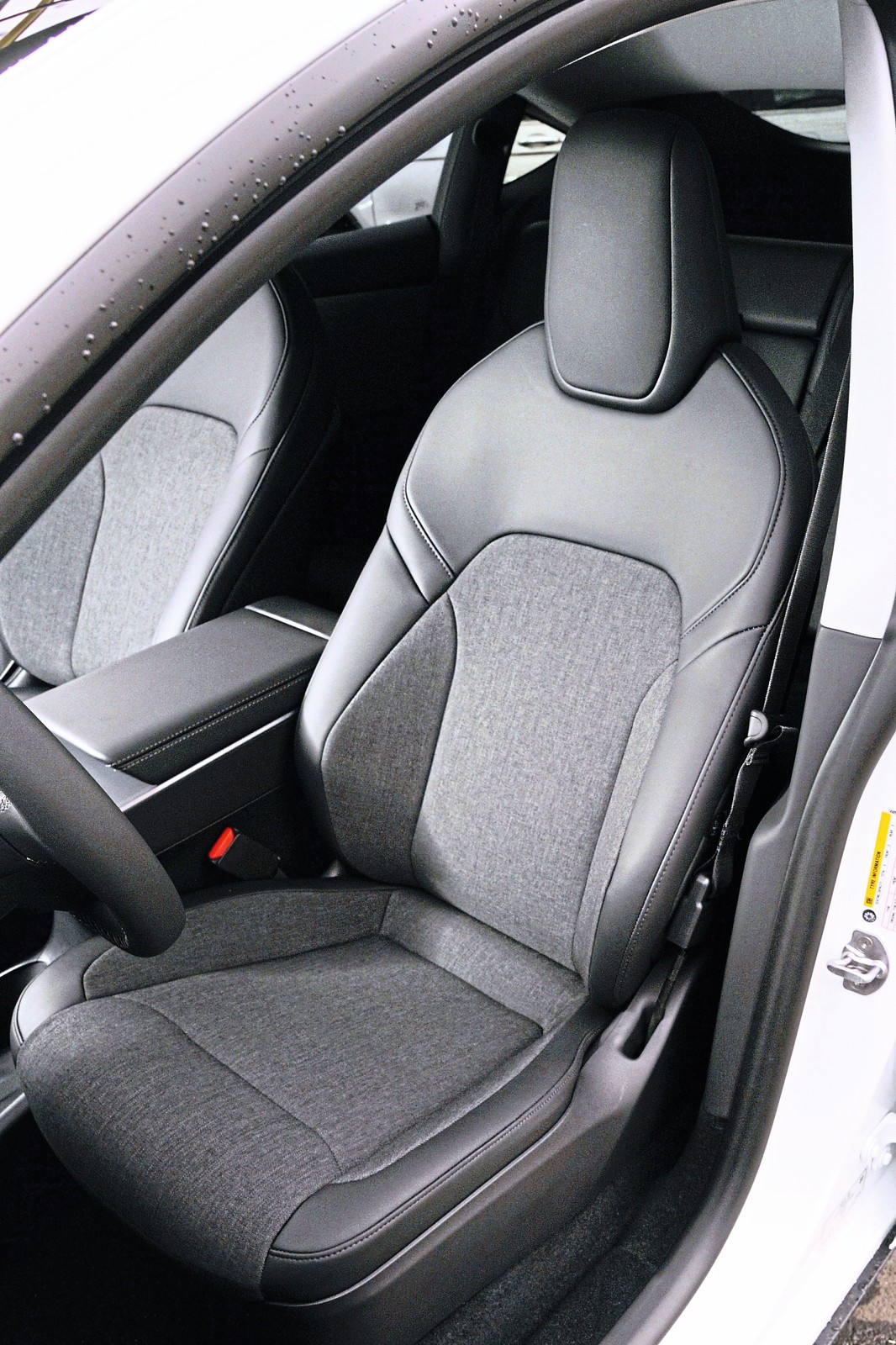 Tesla Model Y Standard