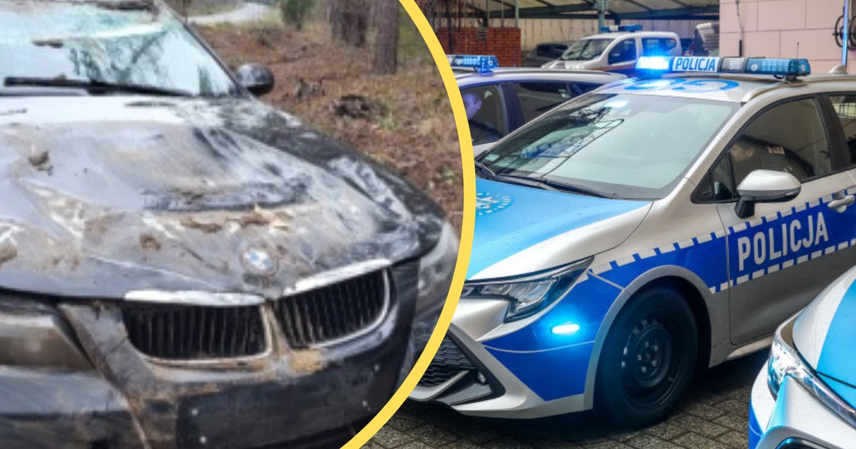  Nastolatka dachowała BMW. Kupiła je kilkadziesiąt minut wcześniej 