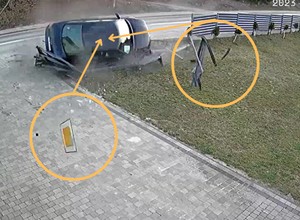 Strach wyjść do własnego ogródka. To już czwarty taki wypadek [WIDEO]