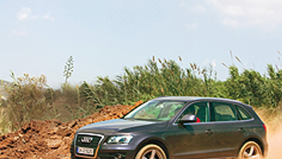 Audi Q5 - Kurz się podniesie
