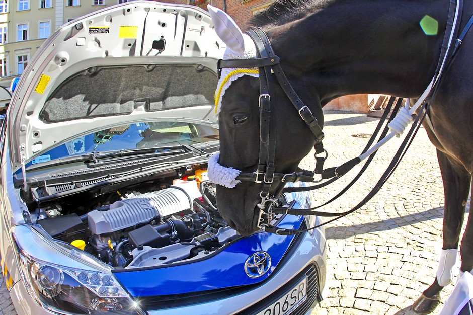 Straż Miejska Wrocławia wybiera hybrydowe Toyoty Yaris