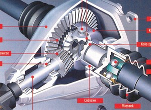 Jak działa mechanizm różnicowy?