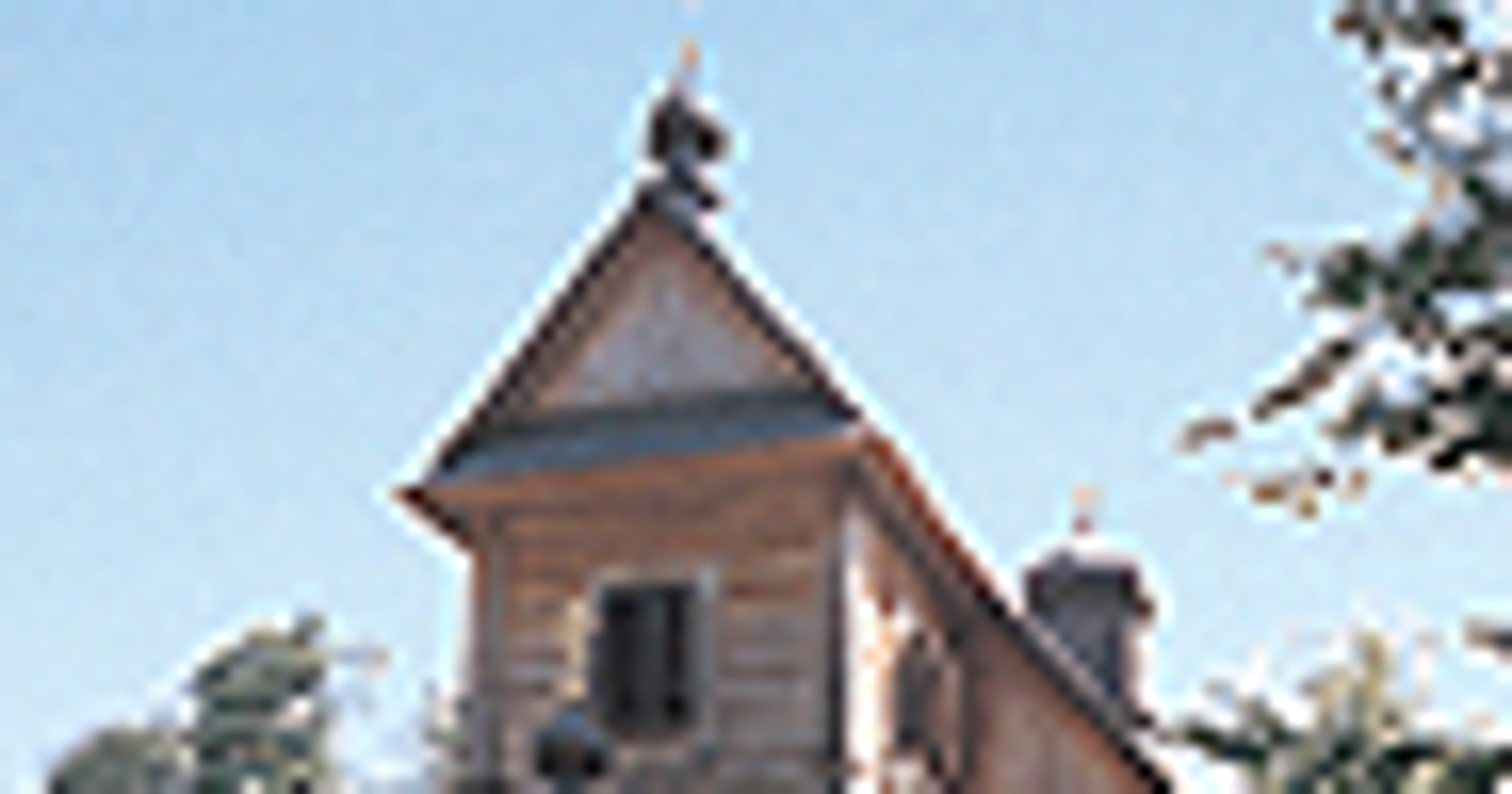 W krainie żubrów