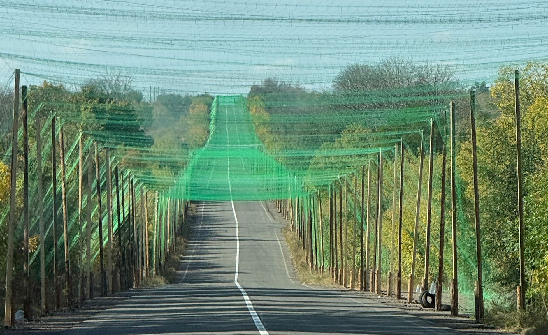 Sieci antydronowe nad drogami w Ukrainie