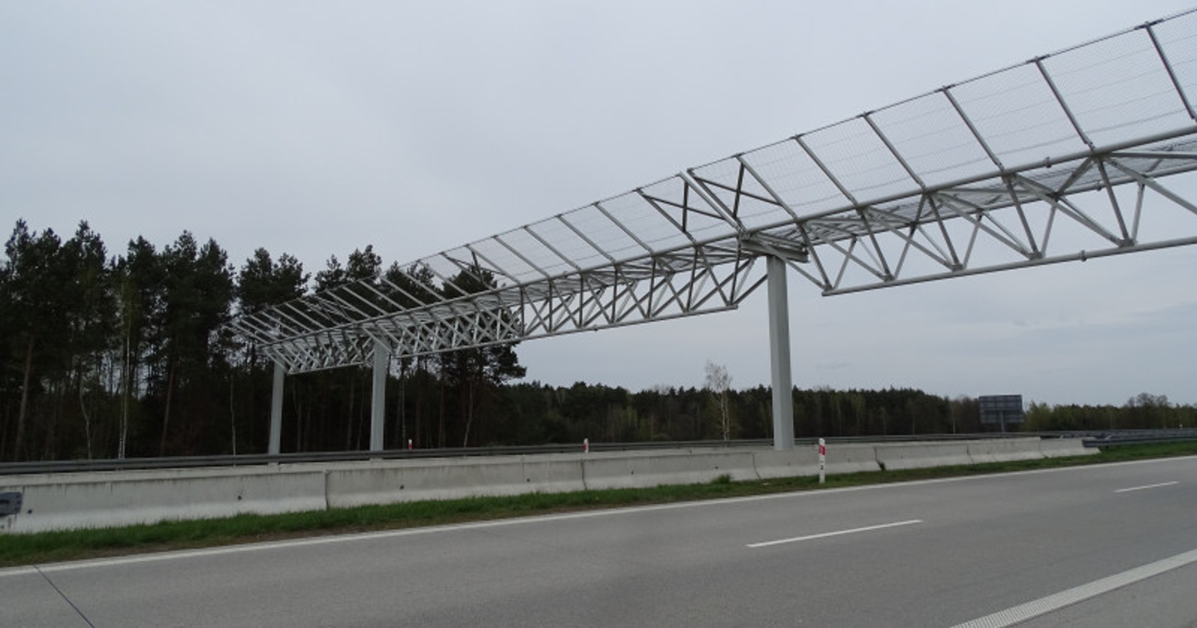 Bramownica nad drogą ekspresową