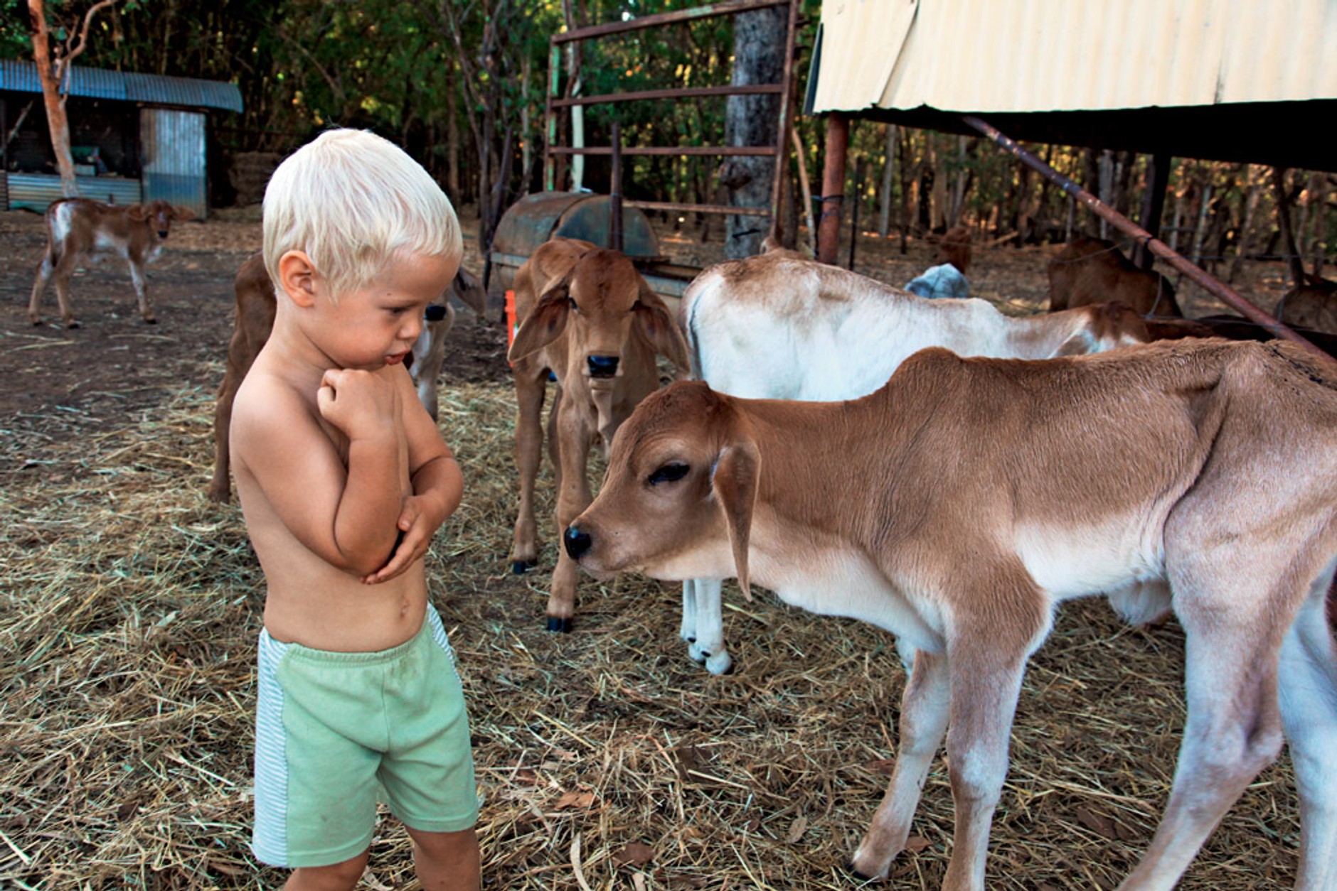 Toyotą Hilux po Australii: Antek i Karol w krainie kangurów