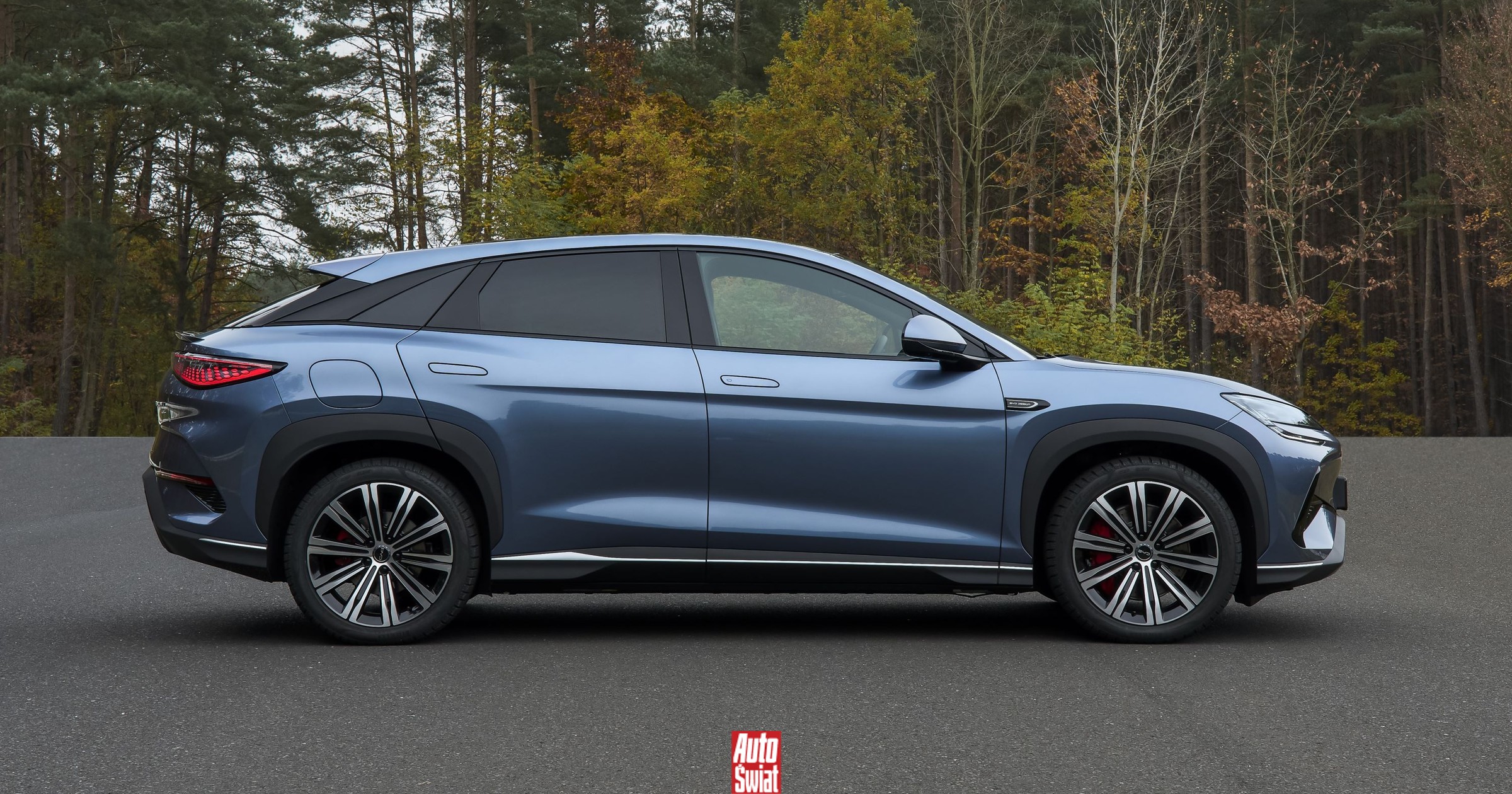 Rząd dopłaca do elektryków, więc Niemcy korzystają. Ale to nie tak miało być