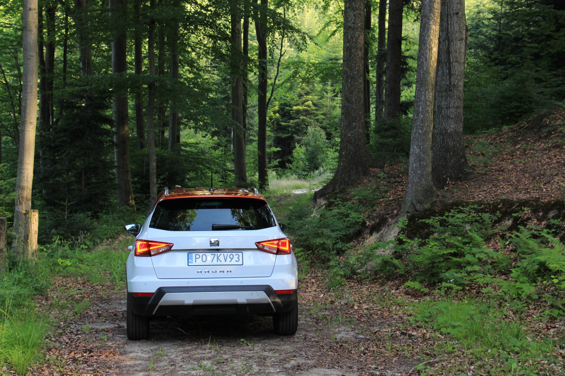 Seat Arona