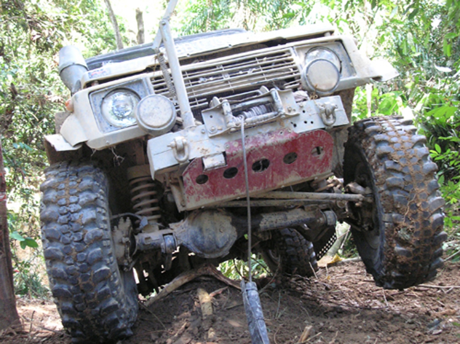 W malezyjskiej dżungli