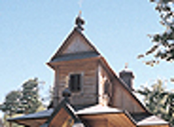W krainie żubrów