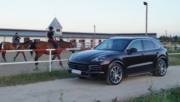 Porsche Cayenne – jak jeździ podstawowa wersja bestselleru niemieckiej marki? – TEST