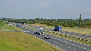 Wyścigi słoni to dalej duży problem na drogach. Nie mogą, a i tak to robią