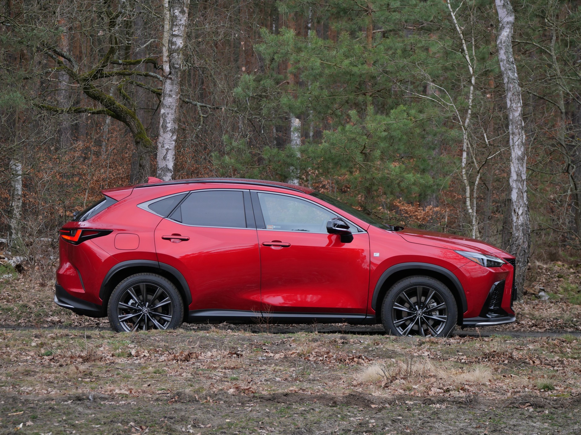 Lexus NX 450H+ F Sport