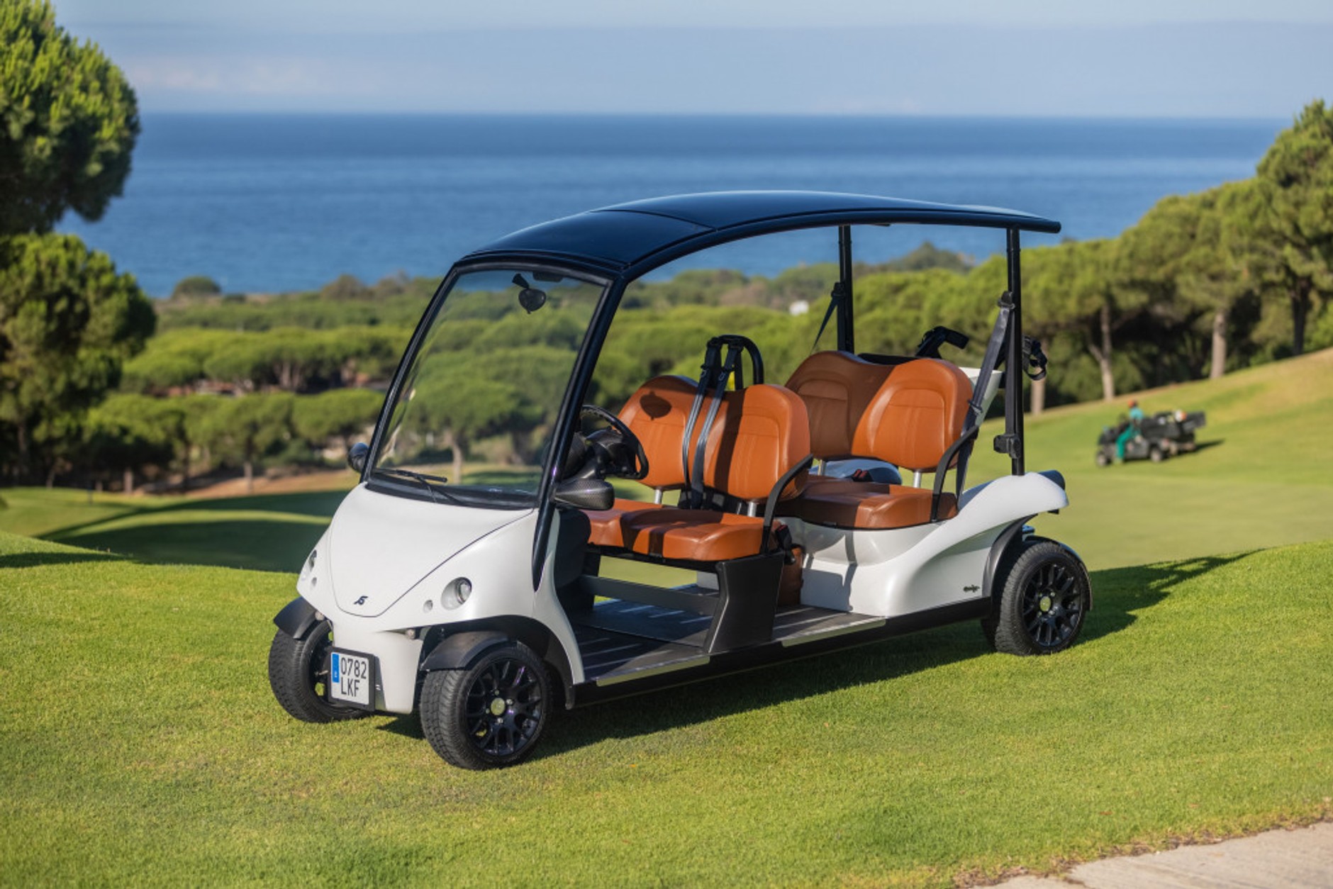 Wózek Golfowy Garia