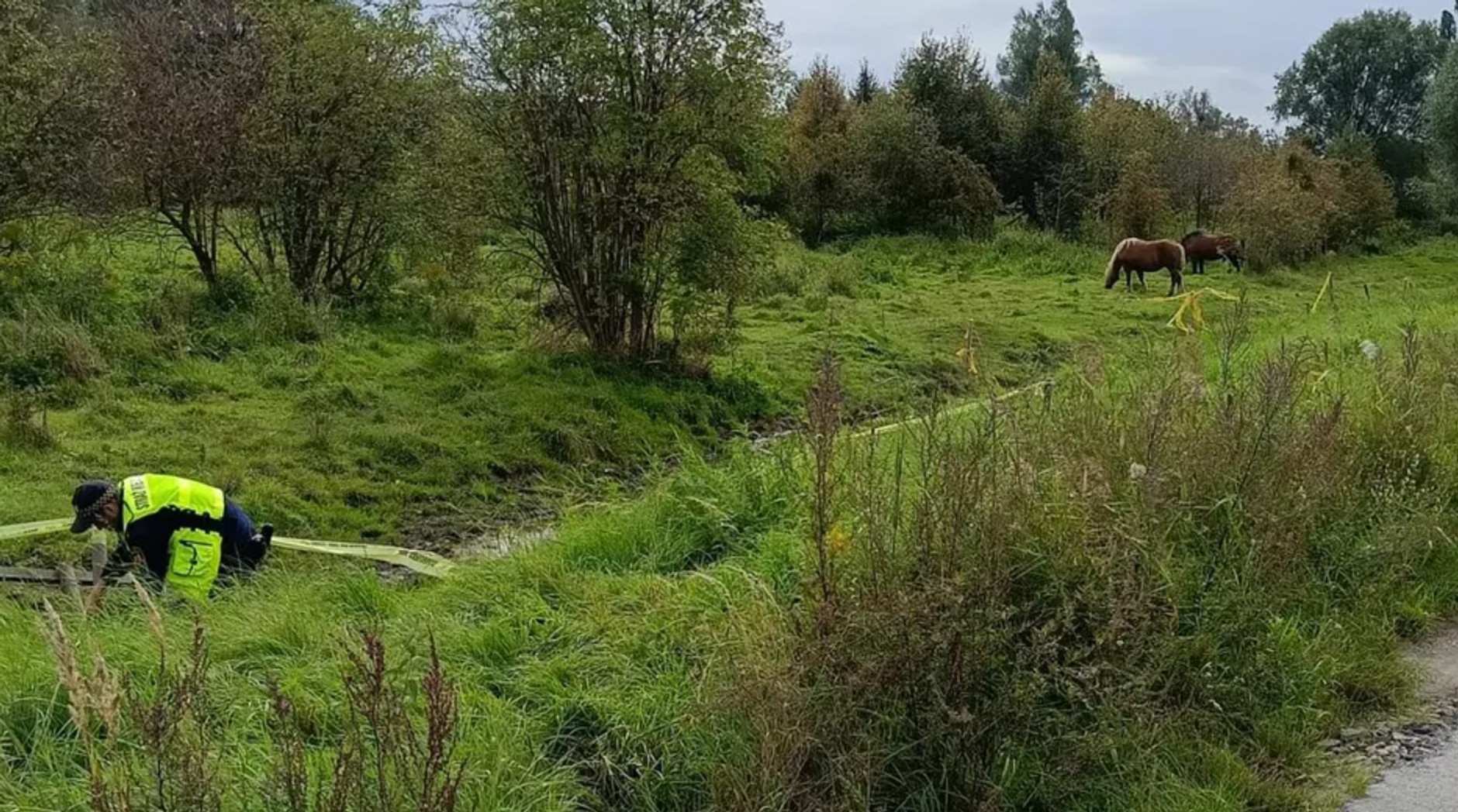 Strażnicy odprowadzili zwierzę na pastwisko i naprawili płot