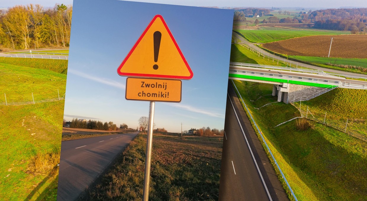 Taki znak w Polsce jest jeden, ale nie ma się z czego śmiać. Ostrzega przed chomikami