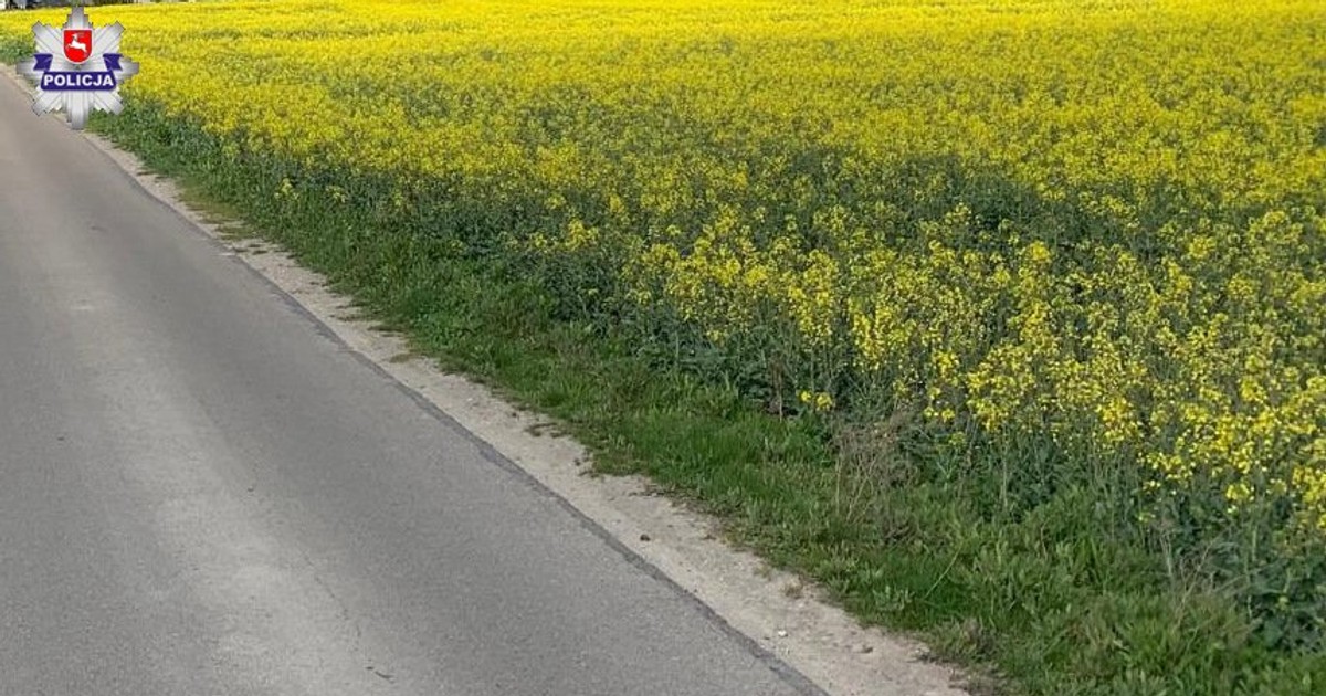 Obraz pochodzący z serwisu https://swidnik.policja.gov.pl/lsw/informacje/aktualnosci/144717,Pijanego-kierowce-namierzyla-policjantka-po-sluzbie-Ten-porzucil-pojazd-i-uciekl.html