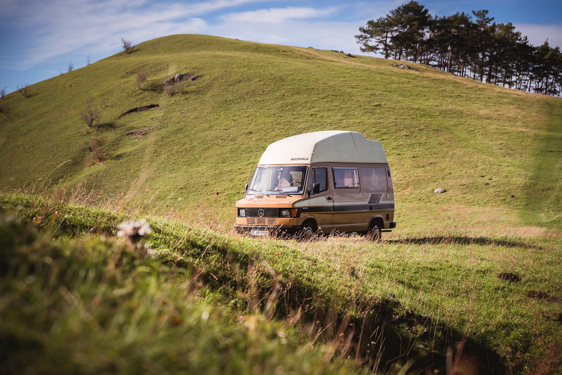 Mercedes T1 Marco Polo