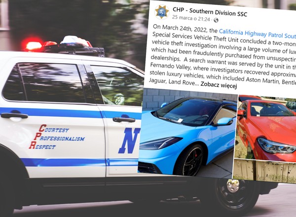 35 luksusowych aut w jednej "dziupli". Policja odkryła też coś jeszcze