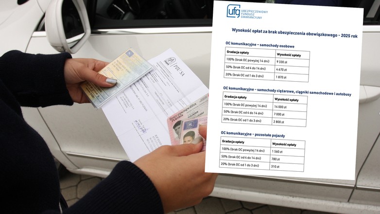 Aktualne stawki kar za brak OC