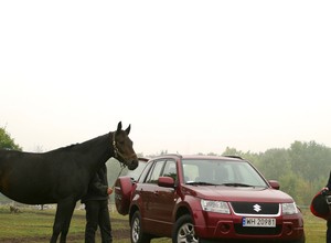 Suzuki Grand Vitara: SUV z genami terenówki