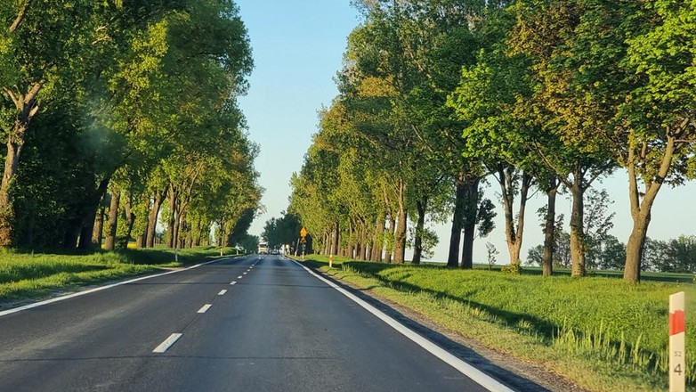 GDDKiA ponownie wybrała ofertę w przetargu na zaprojektowanie i budowę fragmentu drogi S8