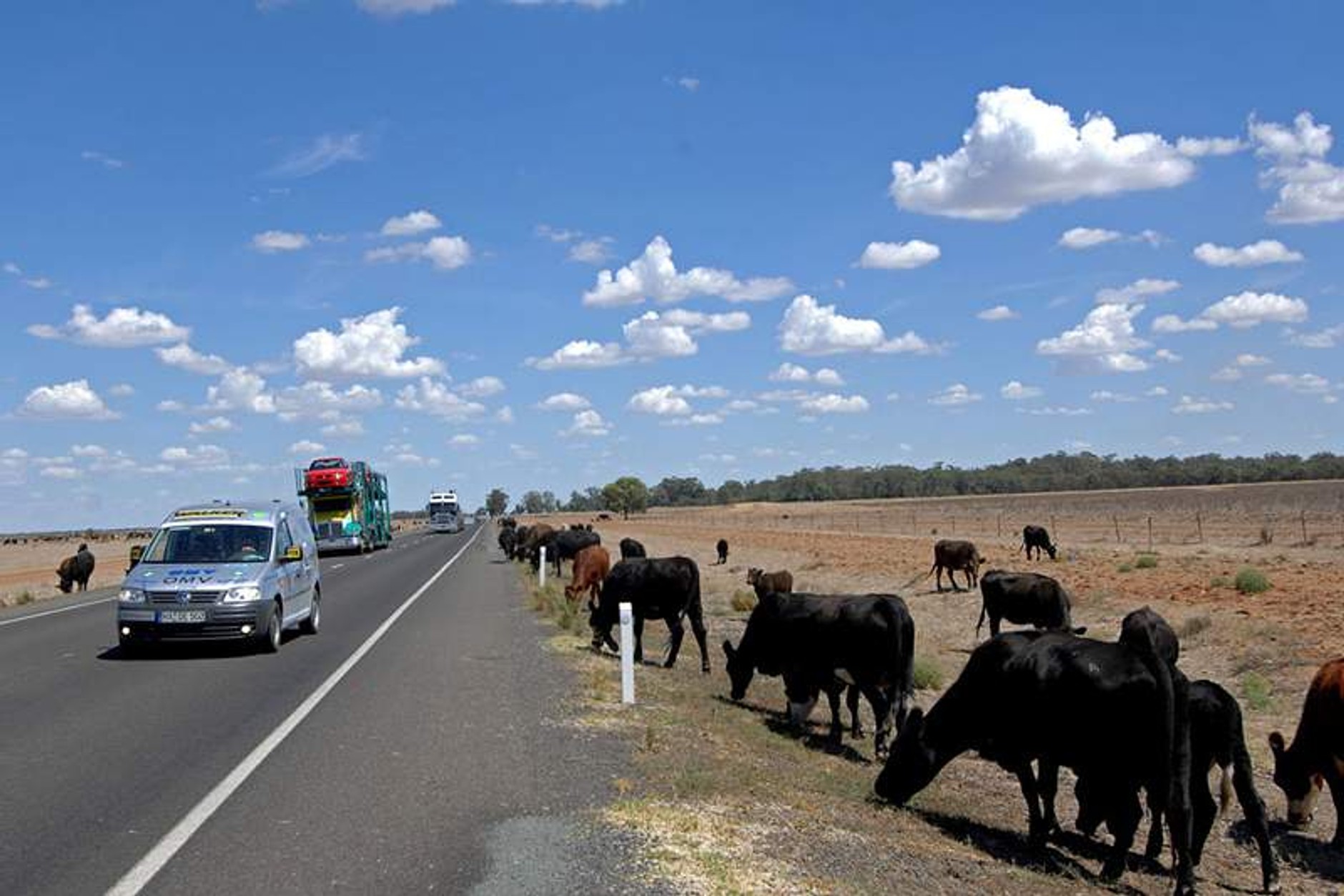 EcoFuel World Tour: Poznański VW Caddy w księdze Guinnessa!