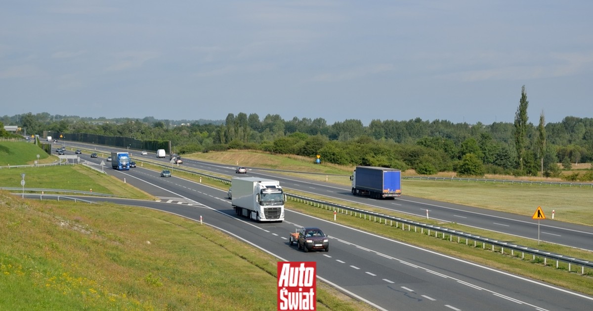 Wyścigi słoni to dalej duży problem na drogach. Nie mogą, a i tak to robią