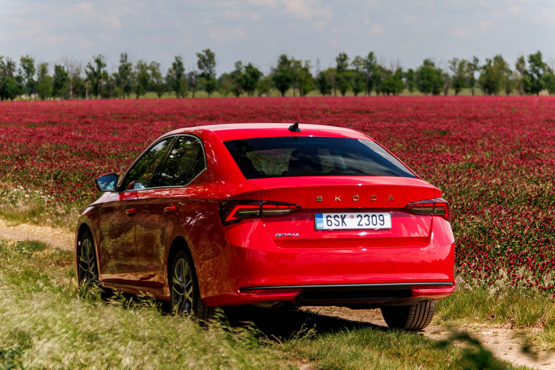 2024 Skoda Octavia