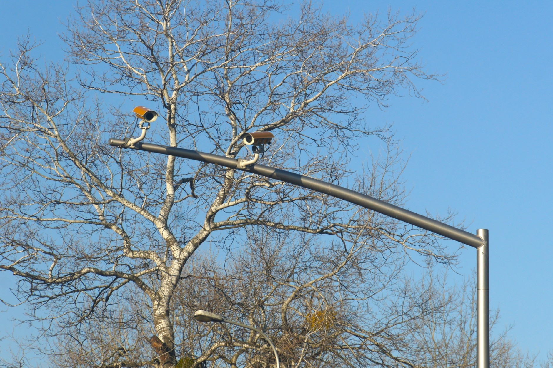 Kamery GITD przypatrują się i samochodom, i sygnalizatorom