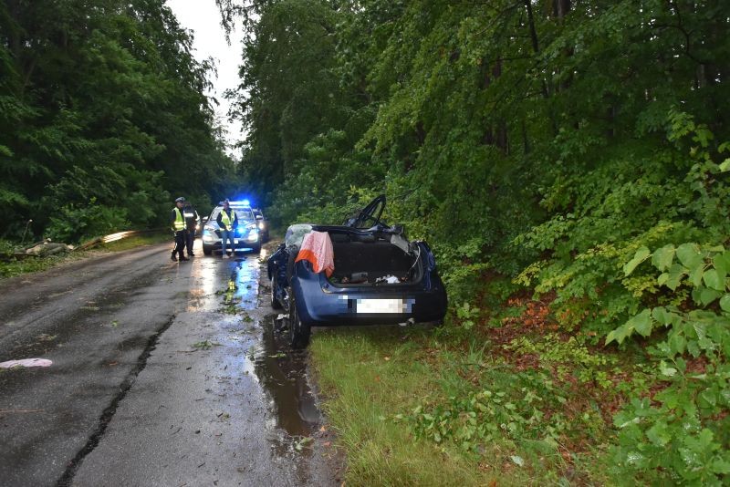 wypadek drzewo pocięty samochód