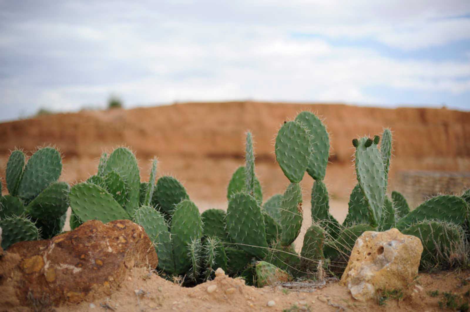 Rajd Tunezji 2010: Rafał Sonik zwycięzcą etapu w kategorii quadów