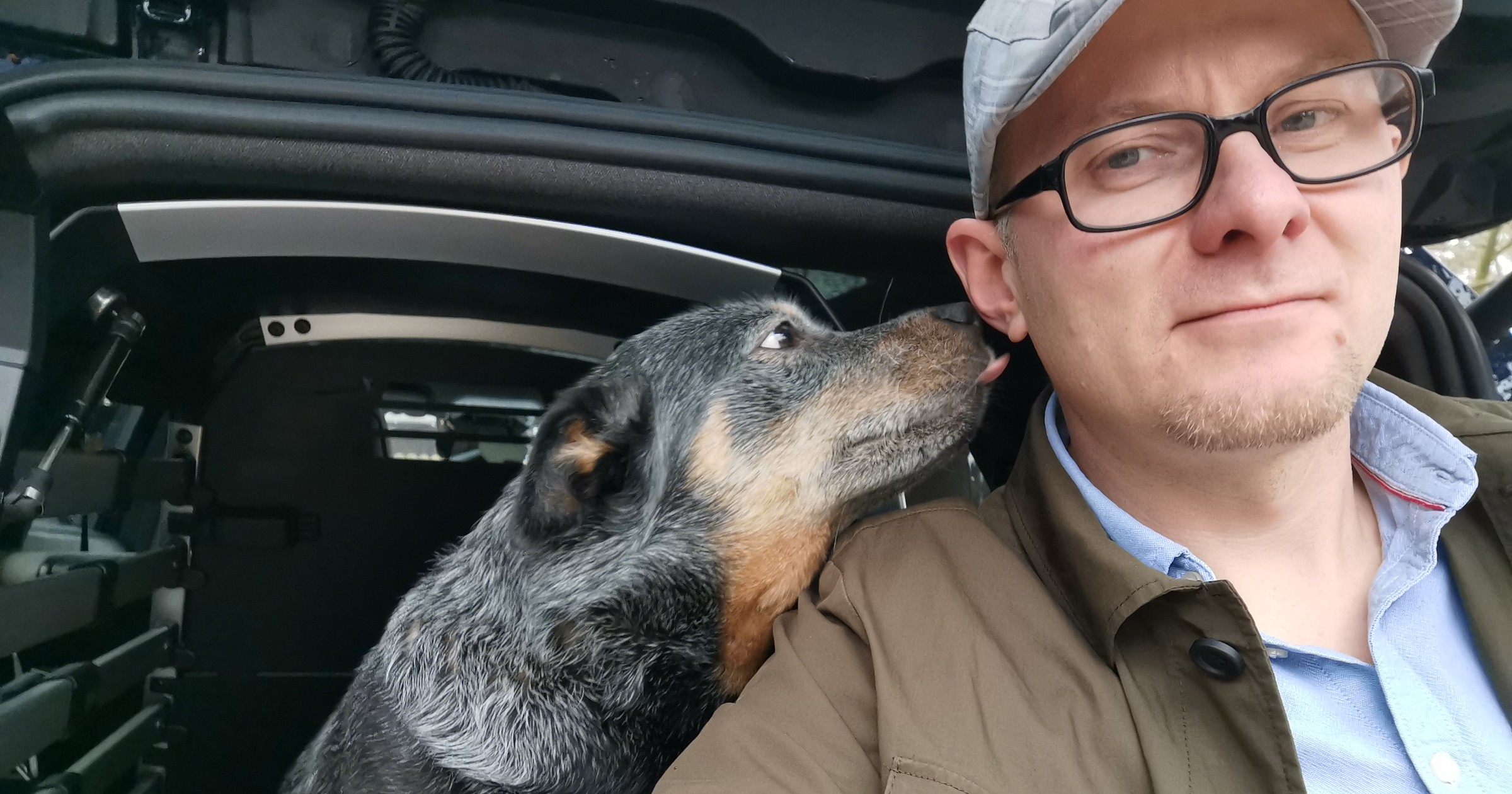 Thule Allax to luksusowa samochodowa klatka transportowa dla psa. nawet jeśli psu wszystko jedno, właściciel ją doceni