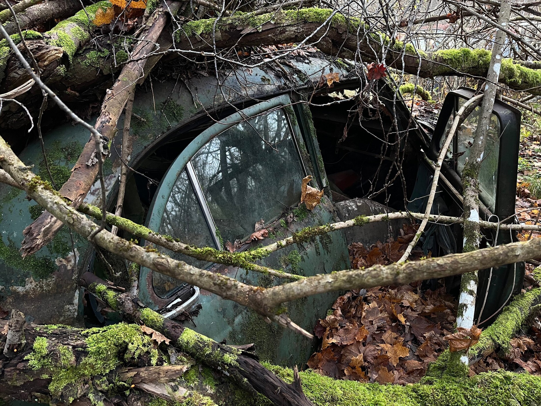 Cmentarzysko samochodów w Bastnas w Szwecji