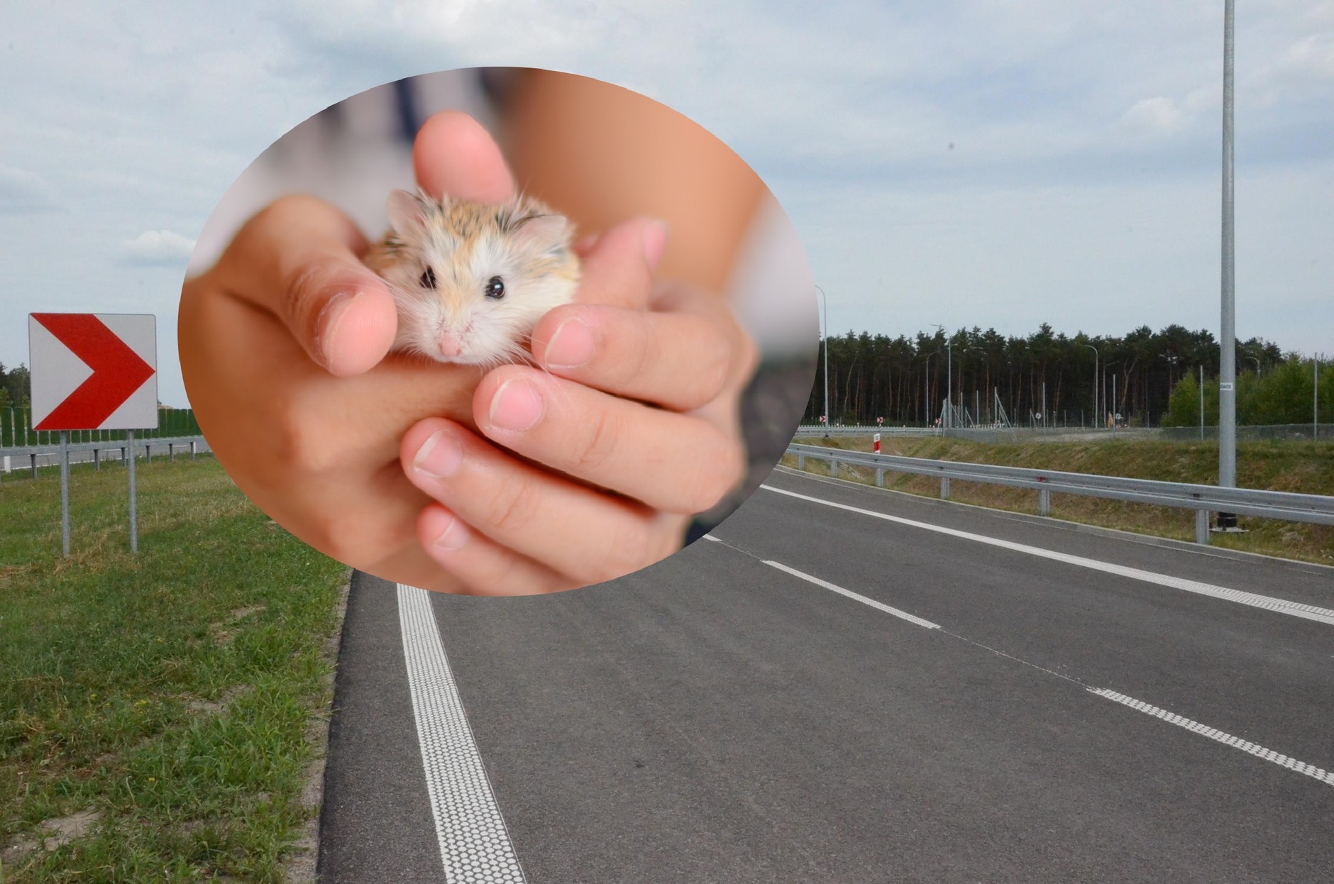 Problemy na budowie w Małopolsce