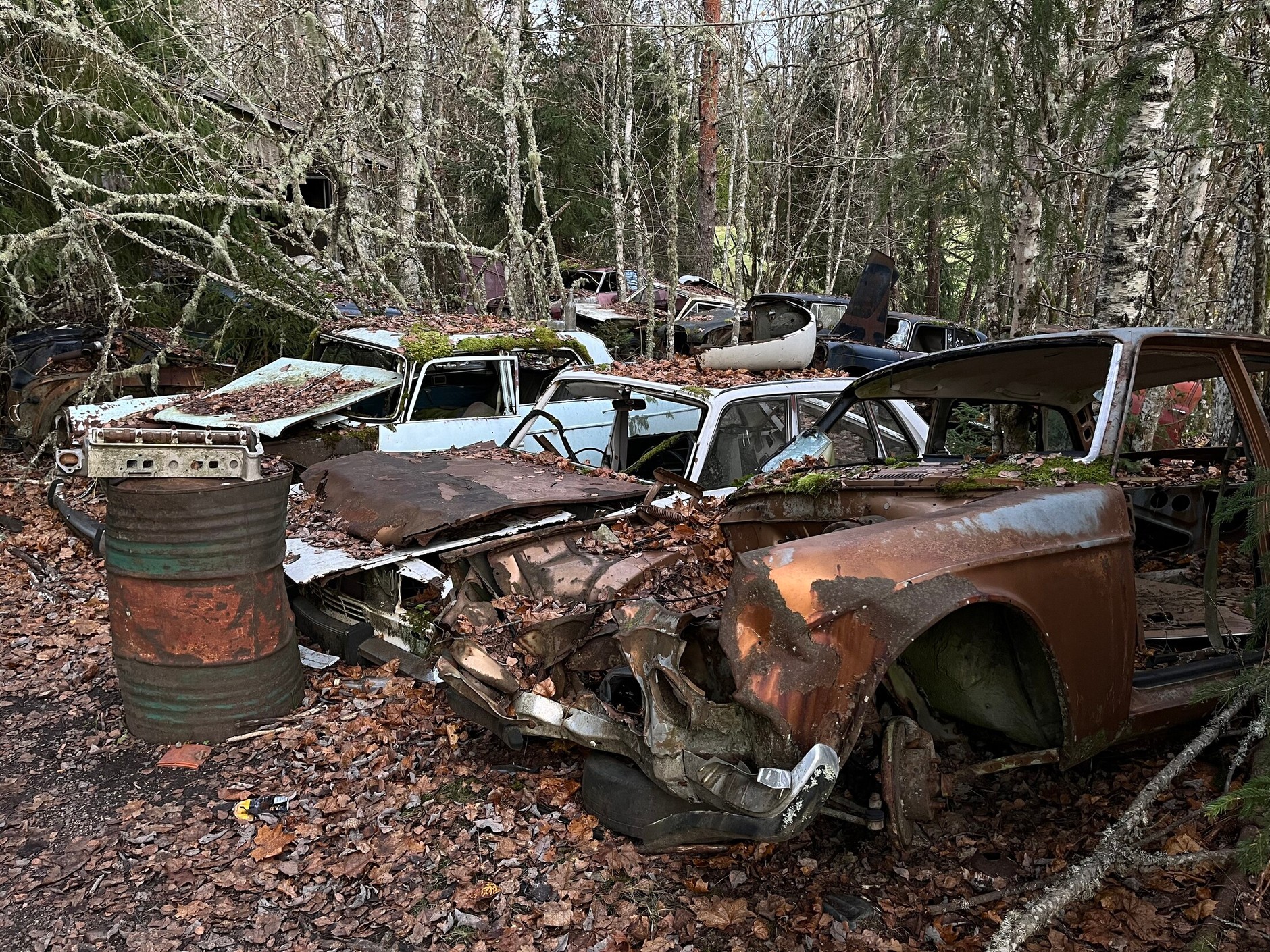 Cmentarzysko samochodów w Bastnas w Szwecji