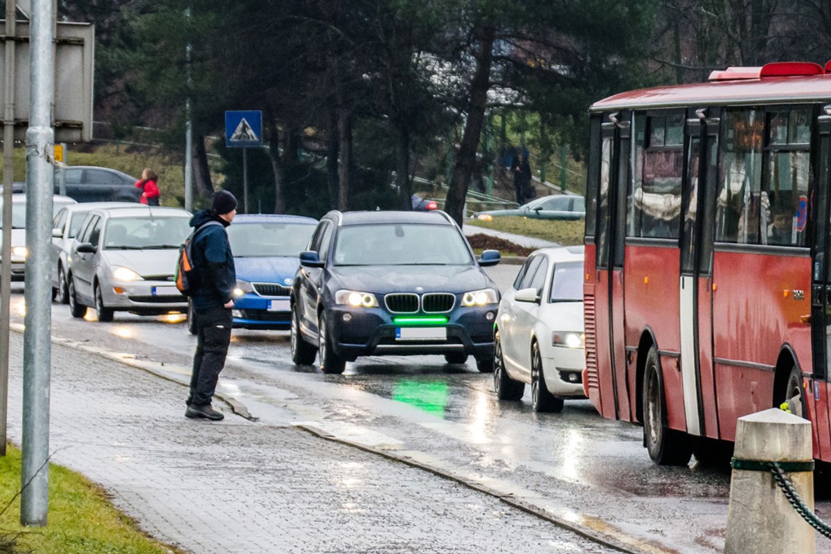 Dodatkowe zielone światło na aucie może stać się obowiązkowe. UE jest zainteresowana
