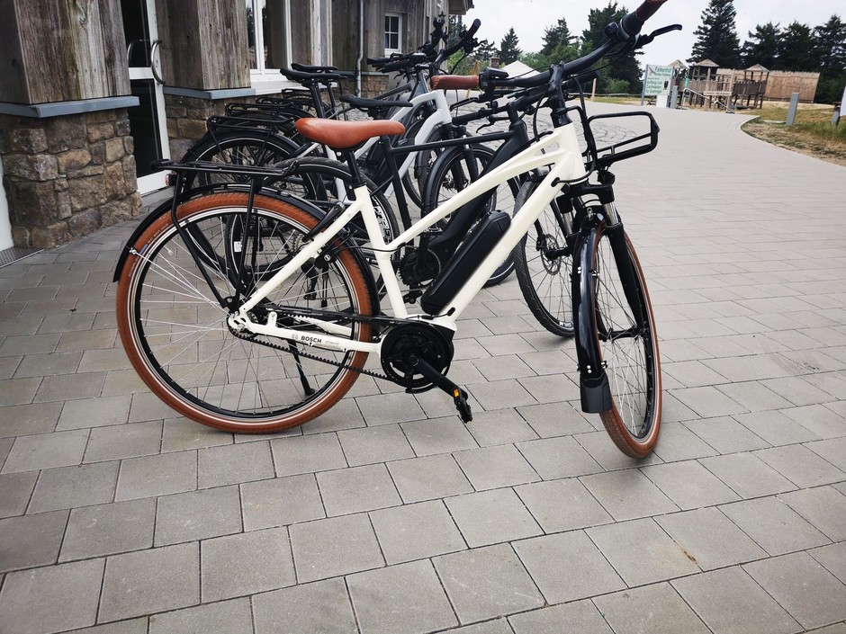 Rower elektryczny