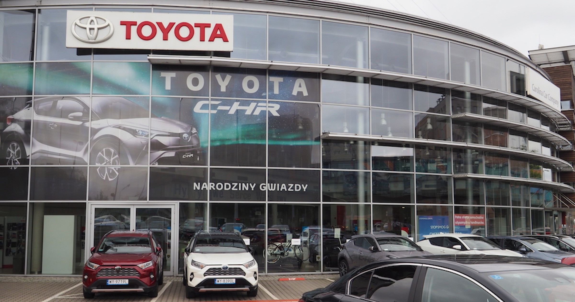 Carolina Toyota Wola
