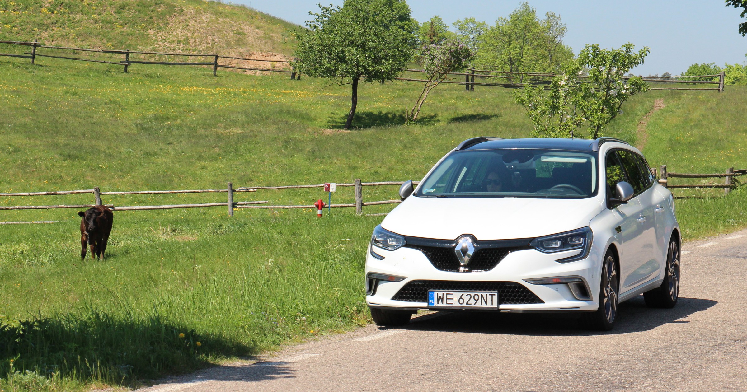 Renault Megane GT