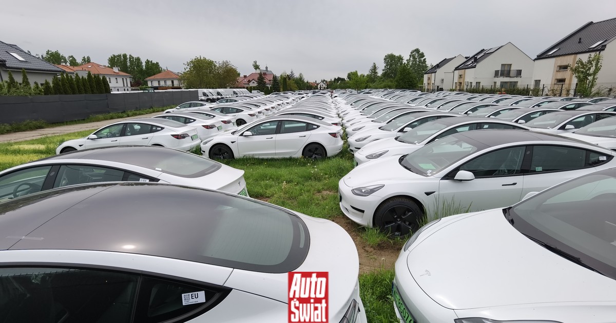 To wykończy nie tylko diesle! Komisja Europejska chce zmusić floty do przesiadki na elektryki