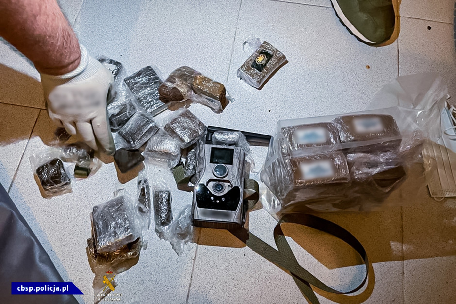 Transport narkotyków; gang przemytników