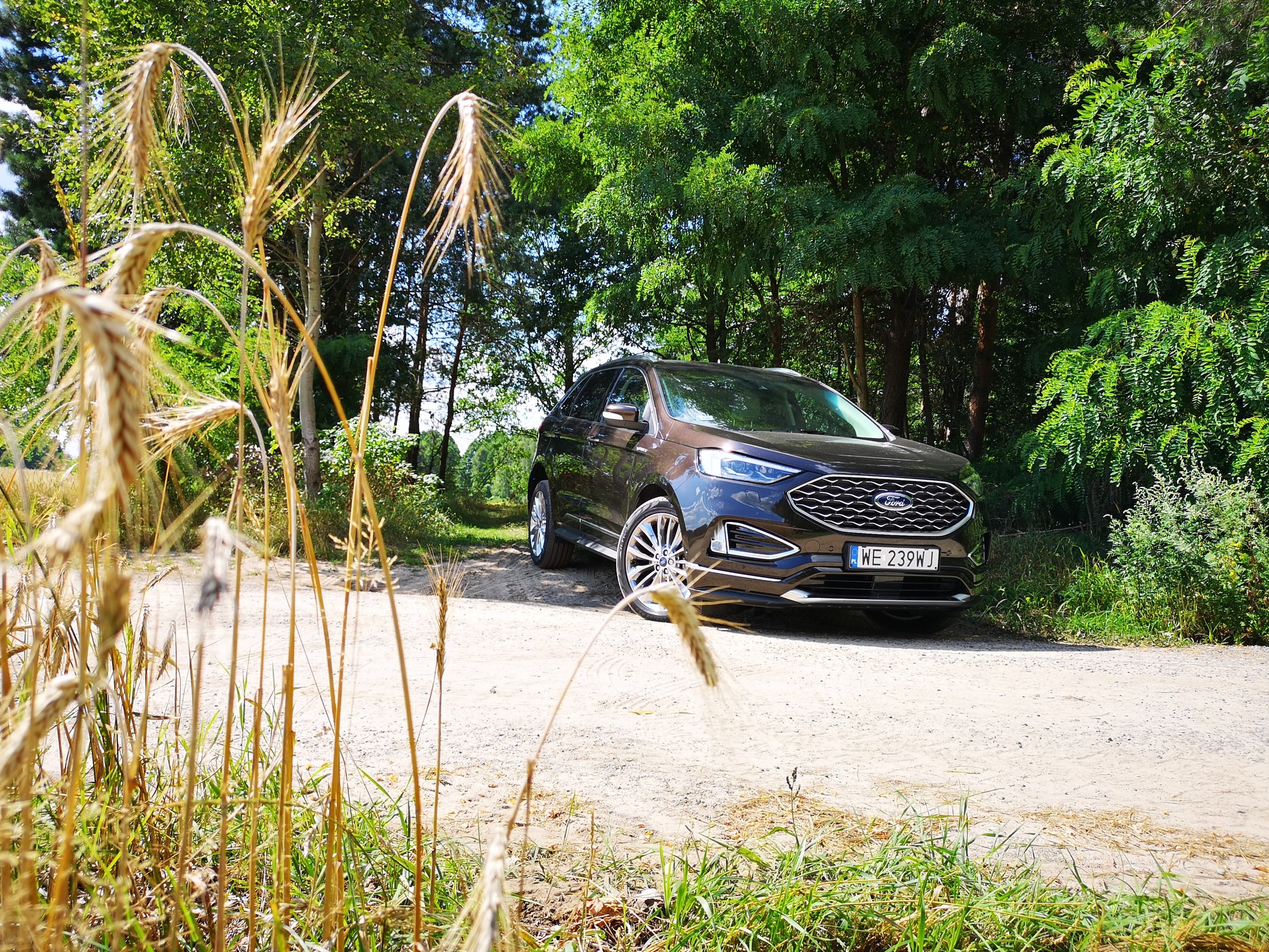 Ford Edge Vignale
