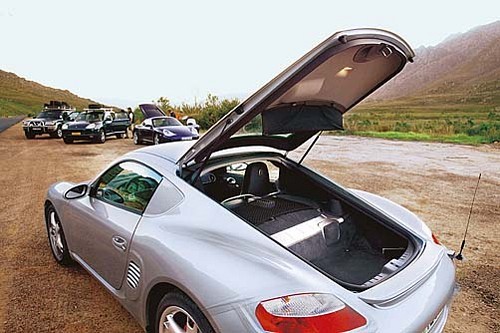 Cayman z zębem