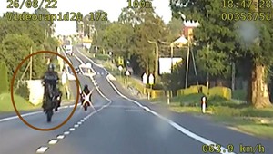 Zrobił to na oczach patrolu. Policjanci nie zapomnieli [WIDEO]