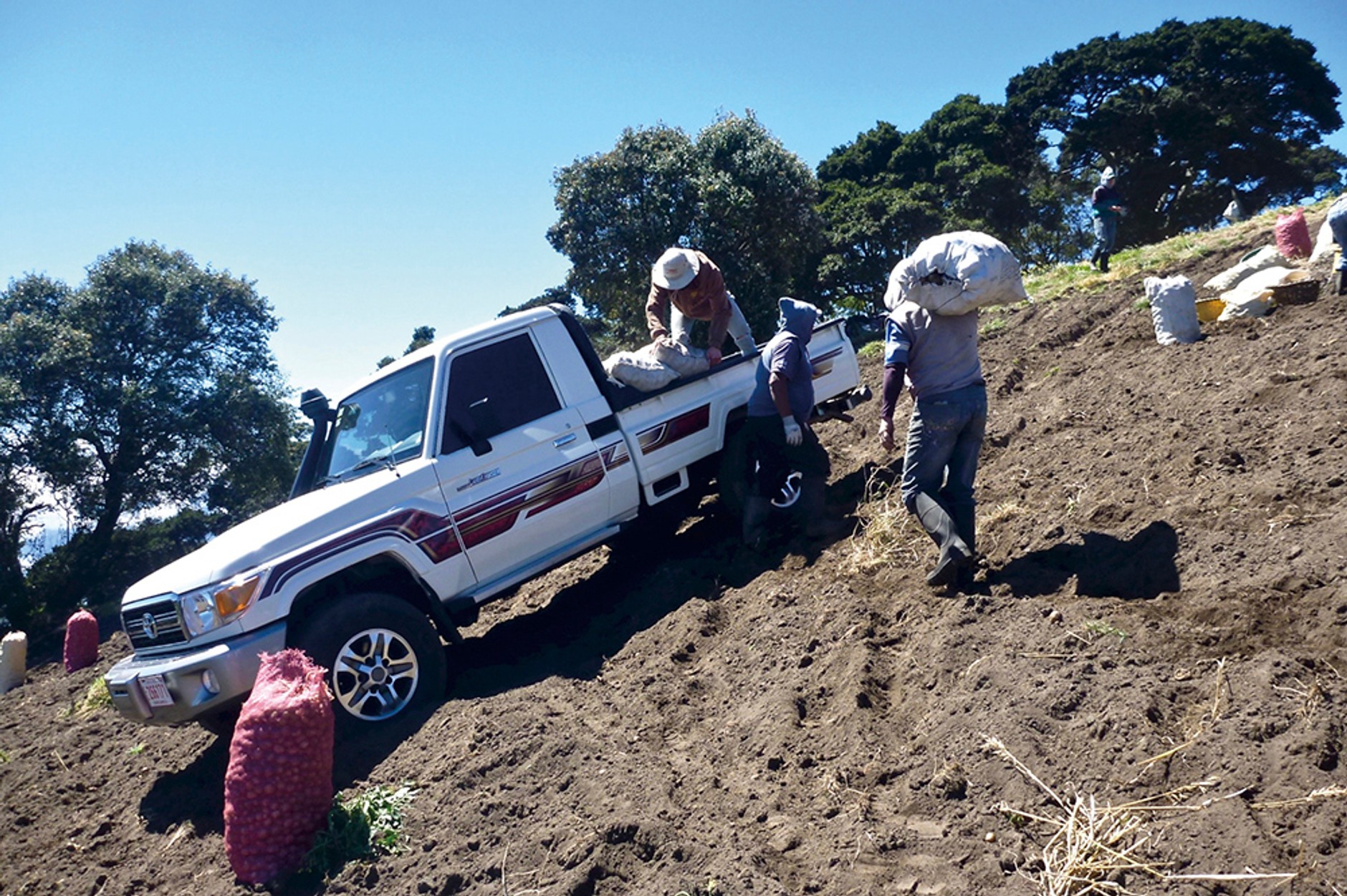 Toyota Land Cruiser na polu uprawnym w Kostaryce