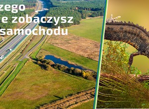 To naturalny sposób na walkę z komarami i meszkami przy autostradzie A2