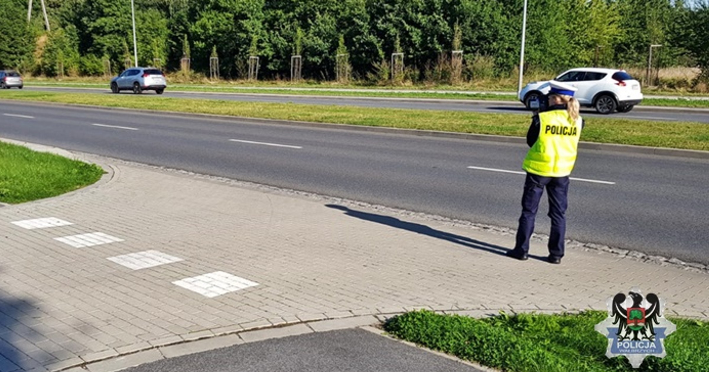Obraz pochodzący z serwisu https://walbrzych.policja.gov.pl/dba/aktualnosci/bieza/120300,56-wykroczen-zwiazanych-z-nadmierna-predkoscia-podczas-piatkowych-dzialan-policj.html