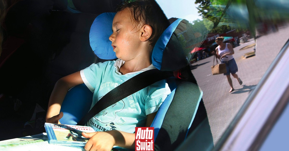 Na zewnątrz upał, w aucie uwięzione dziecko lub zwierzę. Kiedy wolno zbić szybę?